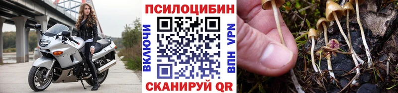 Галлюциногенные грибы GOLDEN TEACHER  где купить наркоту  Асбест 